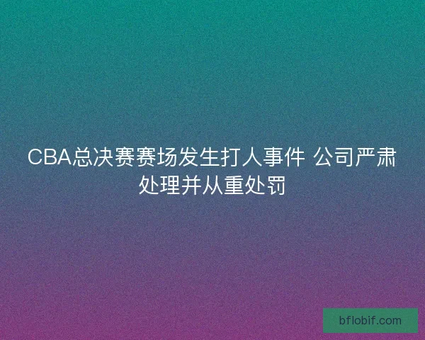 CBA总决赛赛场发生打人事件 公司严肃处理并从重处罚